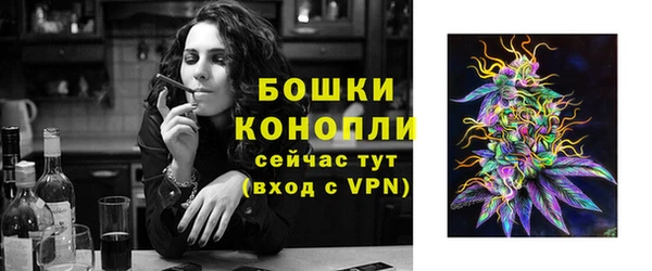 ГАЛЛЮЦИНОГЕННЫЕ ГРИБЫ Волосово