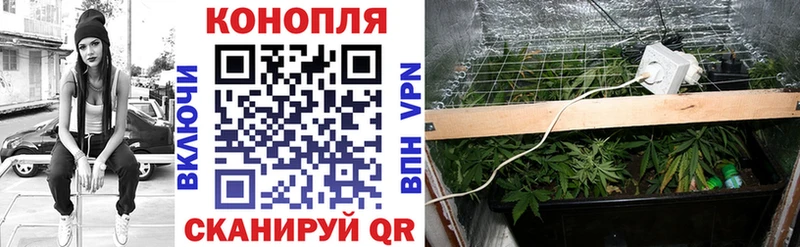 МЕГА ONION  Орехово-Зуево  МАРИХУАНА White Widow 
